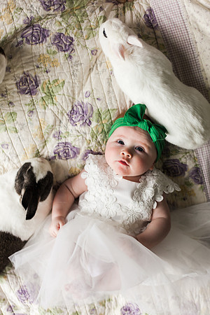 Bunnies 2018-151