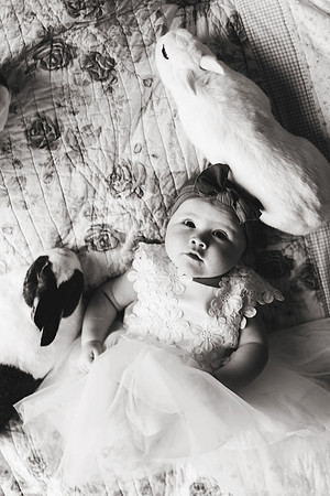 Bunnies 2018-151b&w