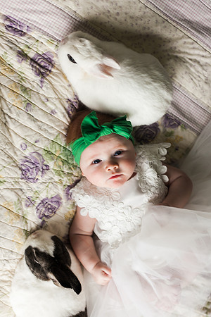 Bunnies 2018-152