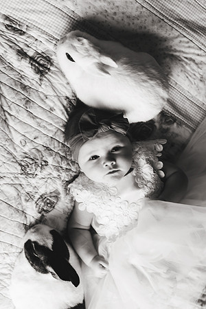 Bunnies 2018-152b&w