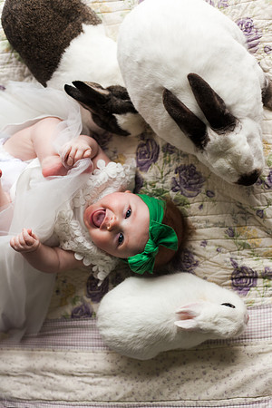 Bunnies 2018-154