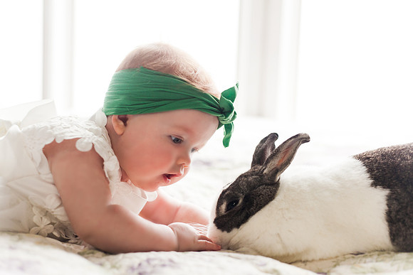 Bunnies 2018-156