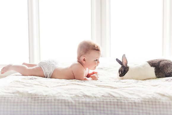 Bunnies 2018-157
