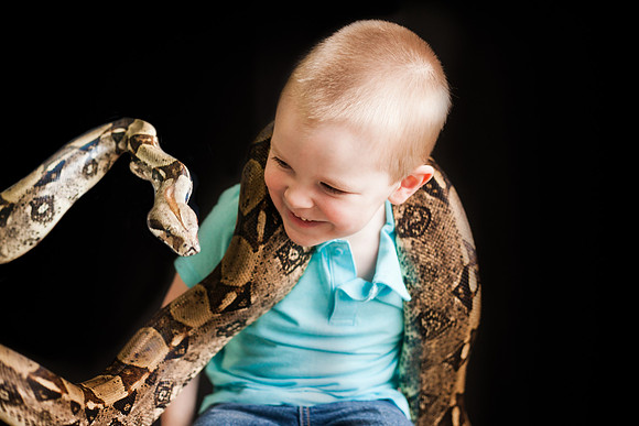 Wildlife2018-28