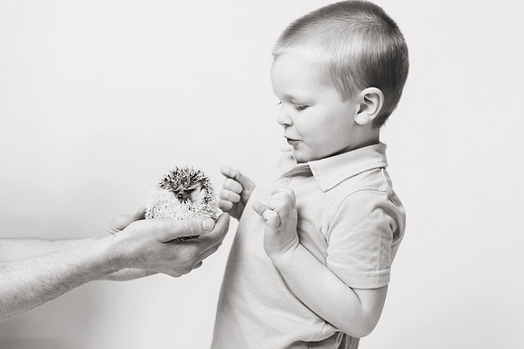 Wildlife2018-19b&w
