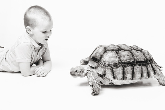 Wildlife2018-49b&w