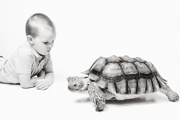 Wildlife2018-50b&w