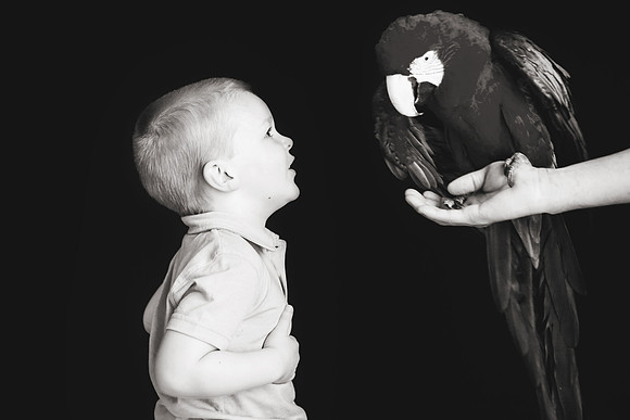 Wildlife2018-66b&w