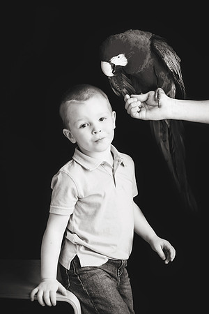 Wildlife2018-68b&w
