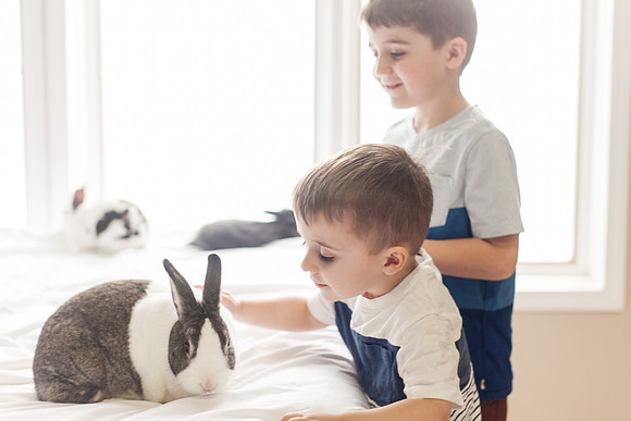 Lee Bunnies 2018-27