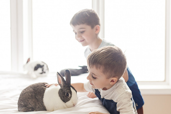 Lee Bunnies 2018-28