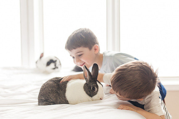 Lee Bunnies 2018-29