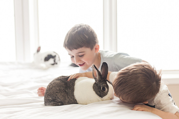 Lee Bunnies 2018-30