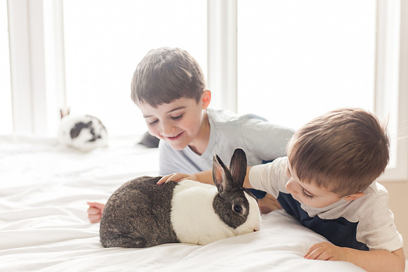 Lee Bunnies 2018-31