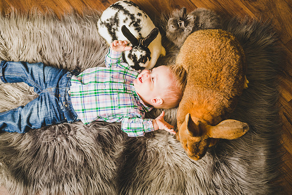 Oliver Bunnies-22