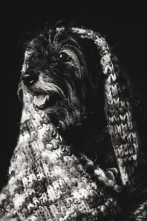 D&G Spring 2018-34b&w