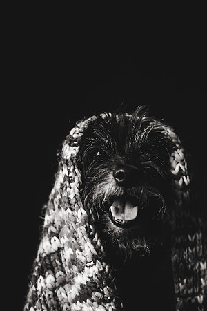 D&G Spring 2018-35b&w