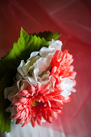 Wedding (11 of 2031)