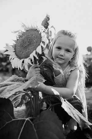 xSunflower 2022-78