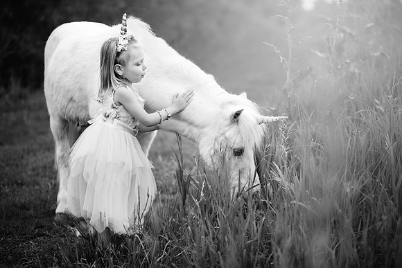 xAurora Unicorn-16