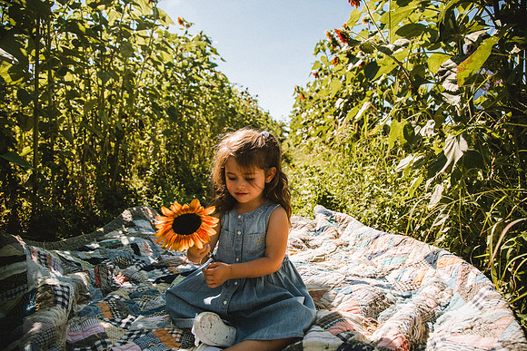 Sunflowers-52