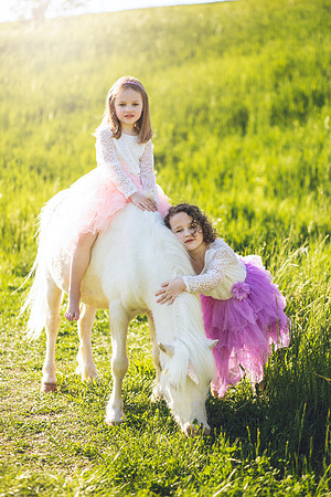 Unicorn-23