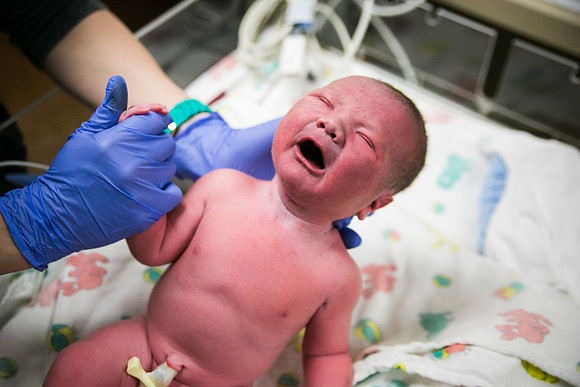 Matthew Birth-361