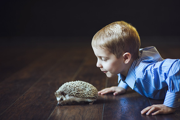 Wildlife-29