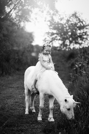 xAurora Unicorn-14