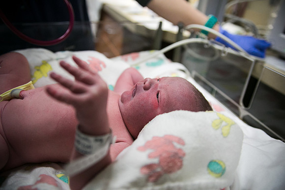 Matthew Birth-335