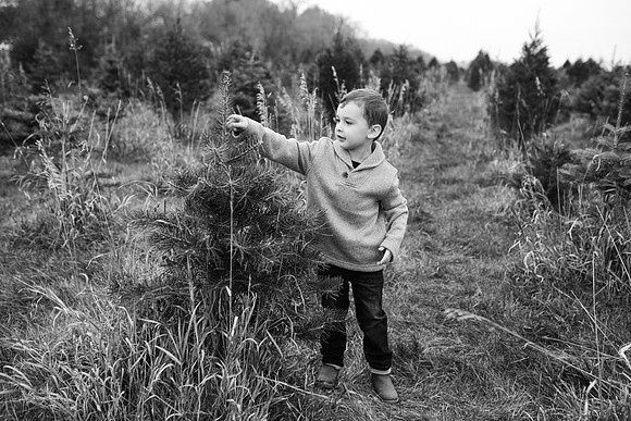 xTree Farm 2020-71