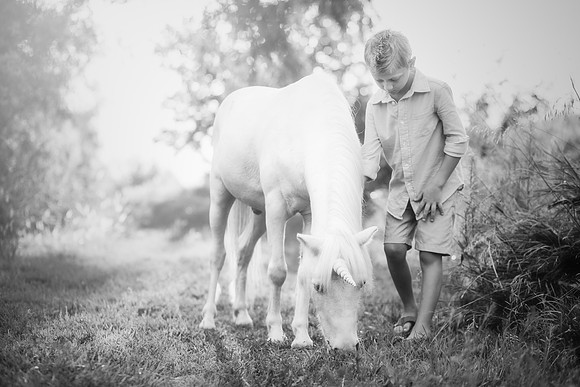xUnicorn-12