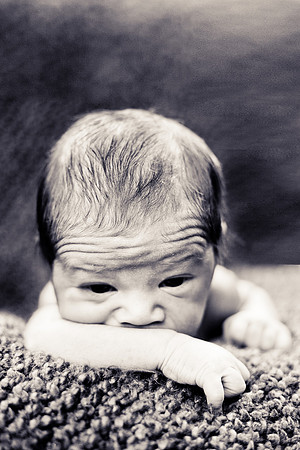 Newborn-61