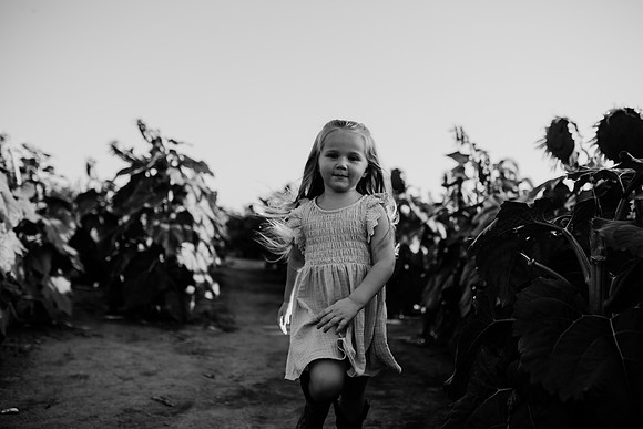 xSunflower 2022-63
