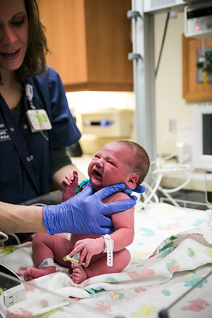 Matthew Birth-358