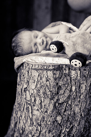 Newborn-49