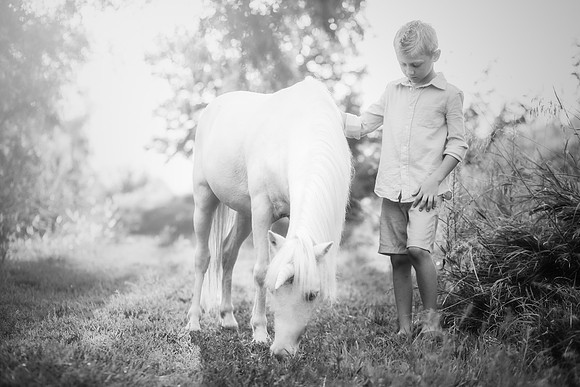 xUnicorn-13