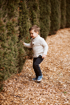 Fall 2018-22
