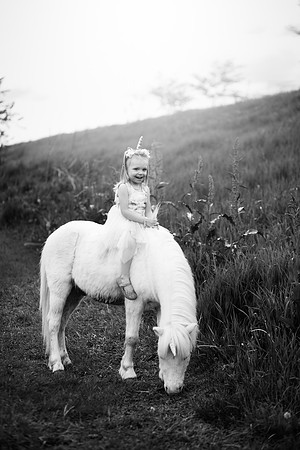 xAurora Unicorn-12