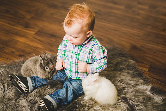 Oliver Bunnies-34
