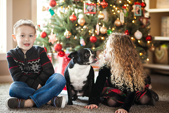 Xmas 2018-52
