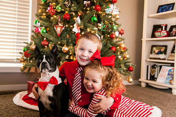 Xmas 2017-10