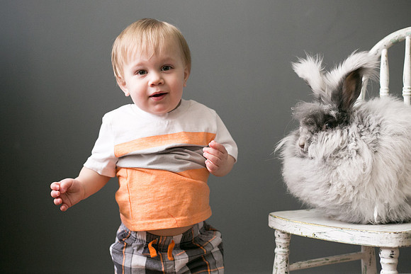 Toby-Bunny-2016-29