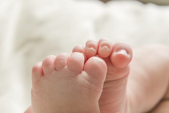Braden 2mth-58