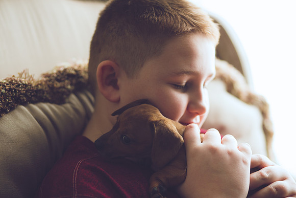 Puppies 2019-25