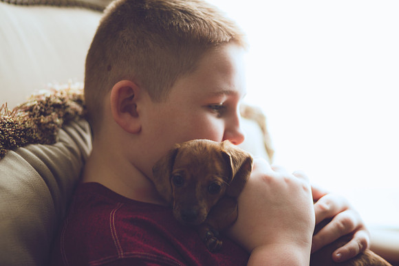 Puppies 2019-26