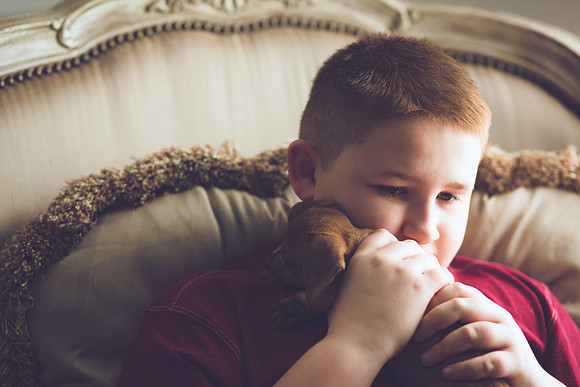 Puppies 2019-27