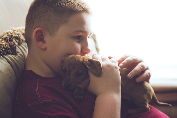 Puppies 2019-28