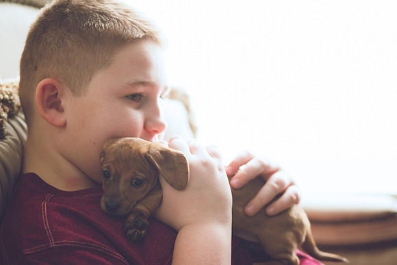 Puppies 2019-29