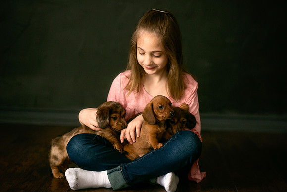 Puppies 2019-34